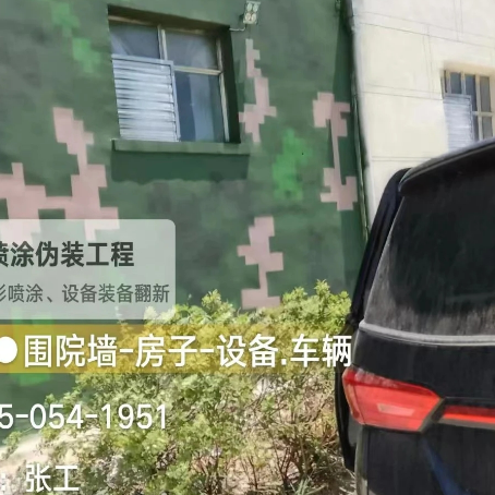 延边朝鲜族数码迷彩漆施工